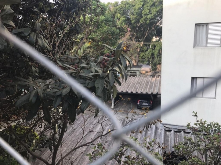 Apartamento, 2 quartos, 54 m² - Foto 16