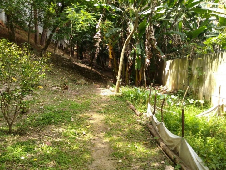 Apartamento à venda com 2 quartos, 50m² - Foto 21