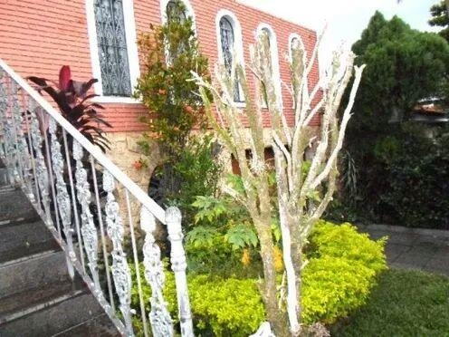 Casa, 4 quartos, 280 m² - Foto 21