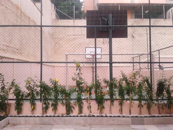 Apartamento, 2 quartos, 52 m² - Foto 30