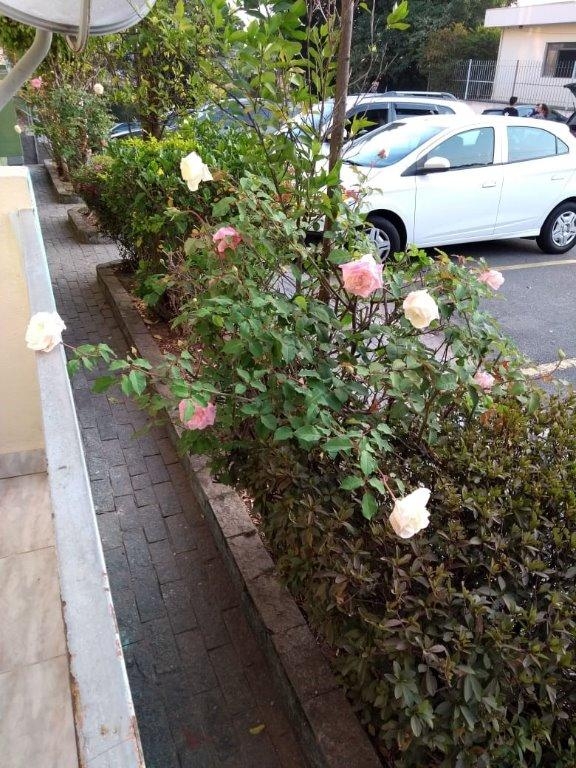 Apartamento, 2 quartos, 56 m² - Foto 19