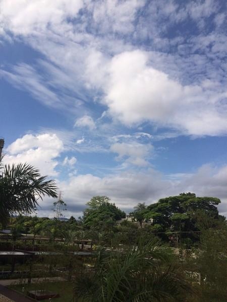 Apartamento, 3 quartos, 87 m² - Foto 25