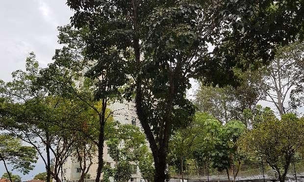 Apartamento, 3 quartos, 80 m² - Foto 3
