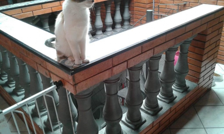 Sobrado, 3 quartos, 85 m² - Foto 39