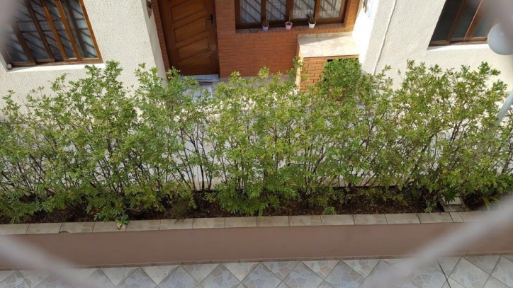 Sobrado, 2 quartos, 71 m² - Foto 3