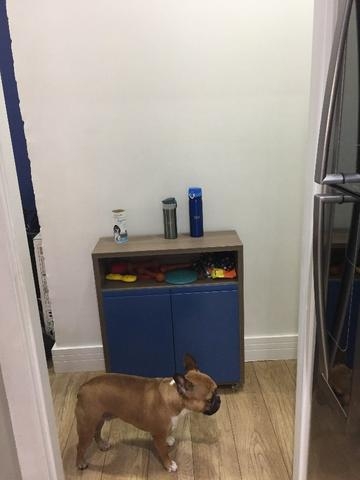 Apartamento, 3 quartos, 48 m² - Foto 11