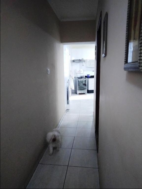 Casa, 4 quartos, 120 m² - Foto 5