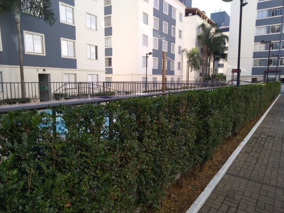 Apartamento, 2 quartos, 49 m² - Foto 31