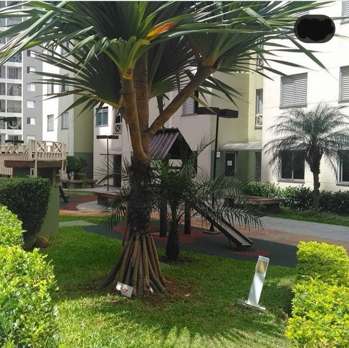 Apartamento, 2 quartos, 50 m² - Foto 21