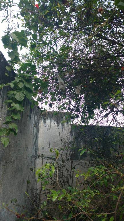 Casa, 3 quartos, 160 m² - Foto 6