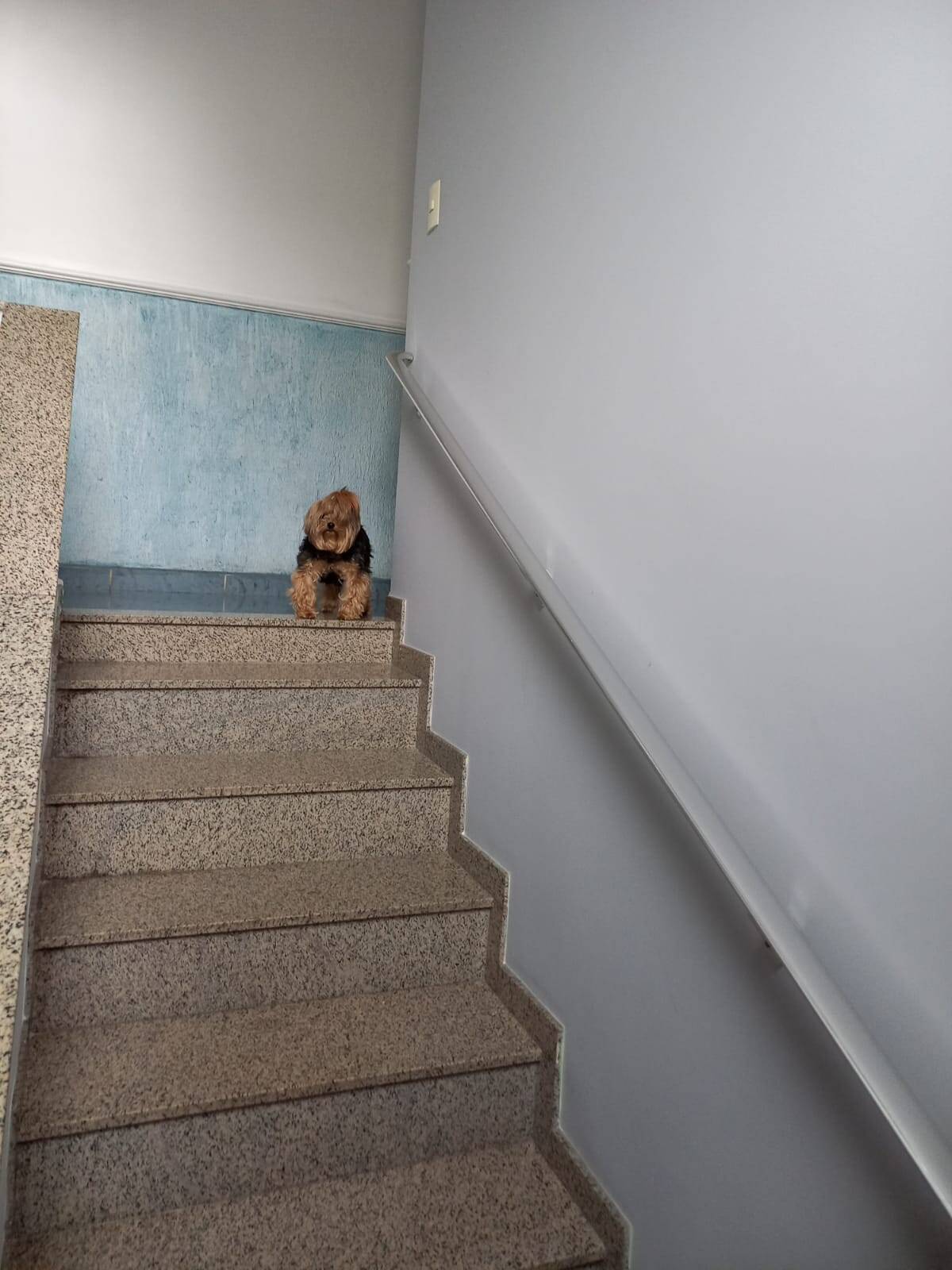 Sobrado, 3 quartos, 432 m² - Foto 11