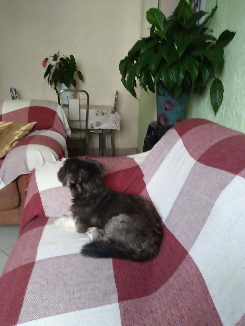 Apartamento, 2 quartos, 48 m² - Foto 18