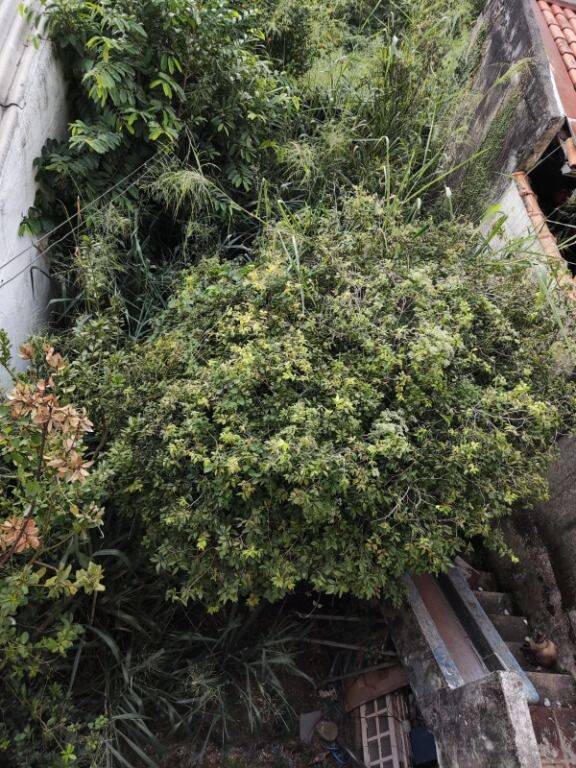 Casa à venda com 3 quartos, 300m² - Foto 9