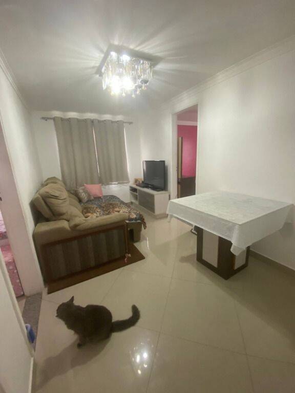 Apartamento, 3 quartos, 52 m² - Foto 9