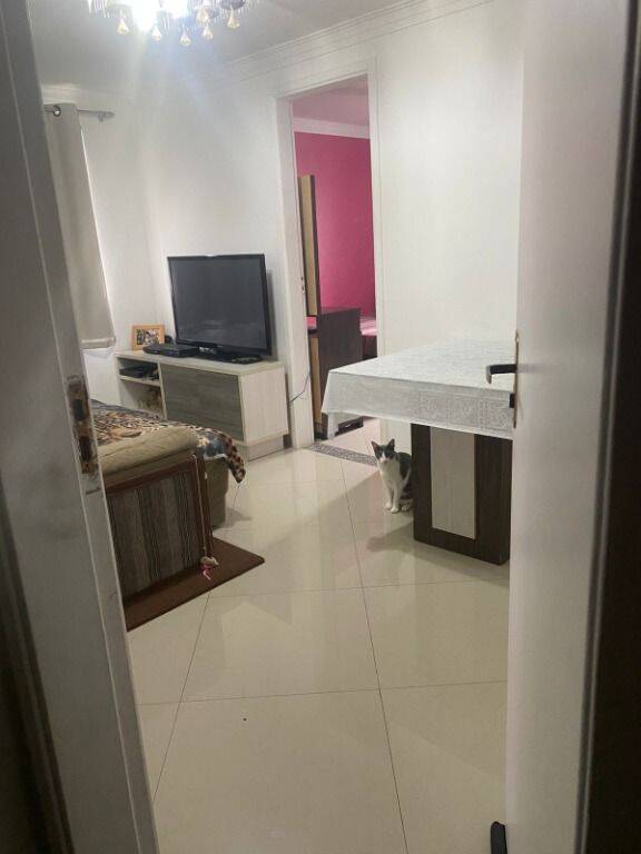 Apartamento, 3 quartos, 52 m² - Foto 25