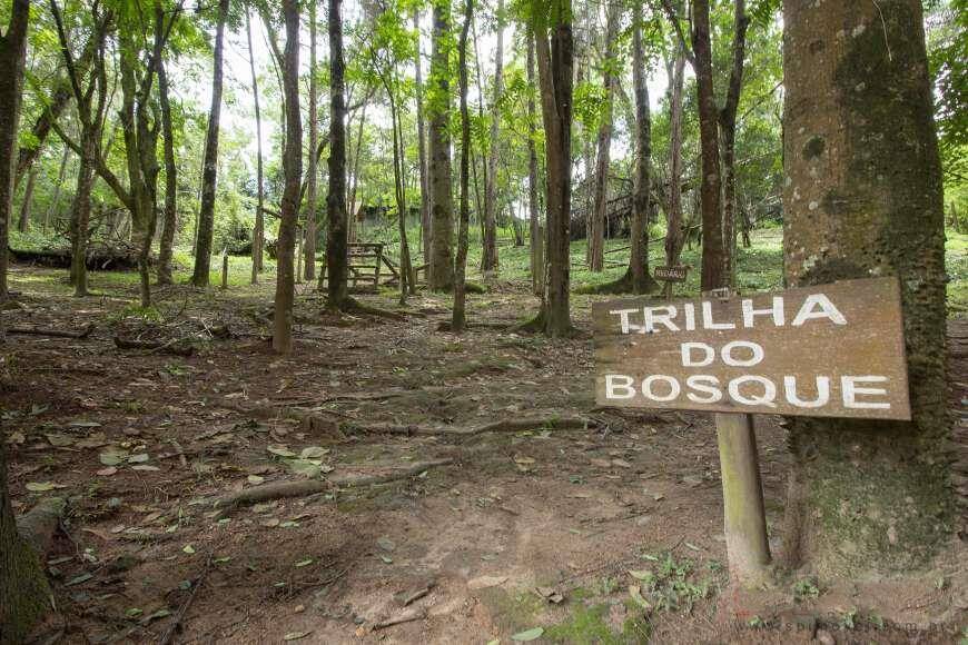 Apartamento, 2 quartos, 51 m² - Foto 1