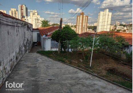 Casa, 4 quartos, 500 m² - Foto 5