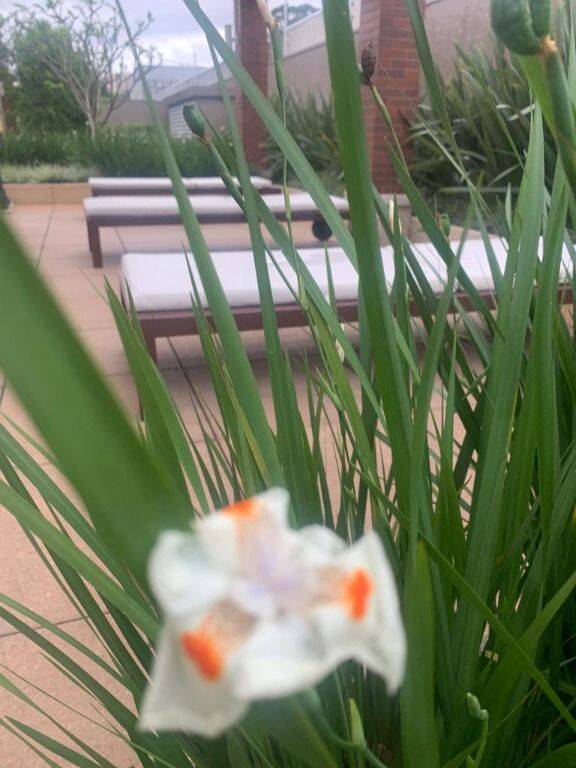 Apartamento, 2 quartos - Foto 5