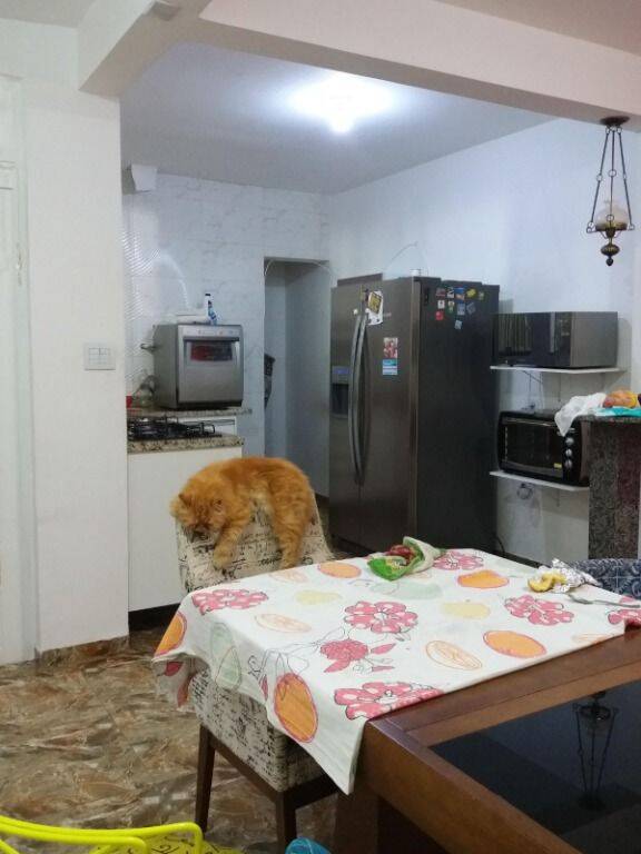 Casa, 3 quartos, 200 m² - Foto 33