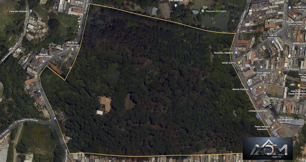 Terreno, 8 hectares - Foto 4