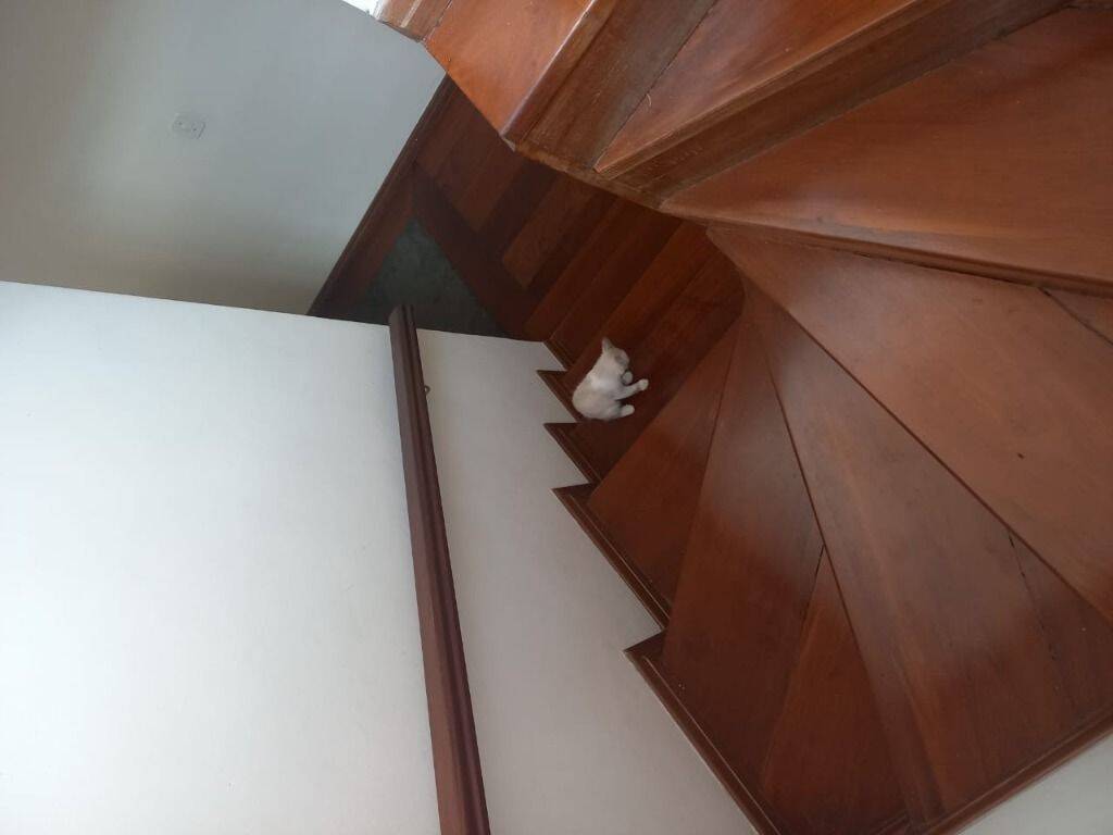 Sobrado, 3 quartos, 125 m² - Foto 13