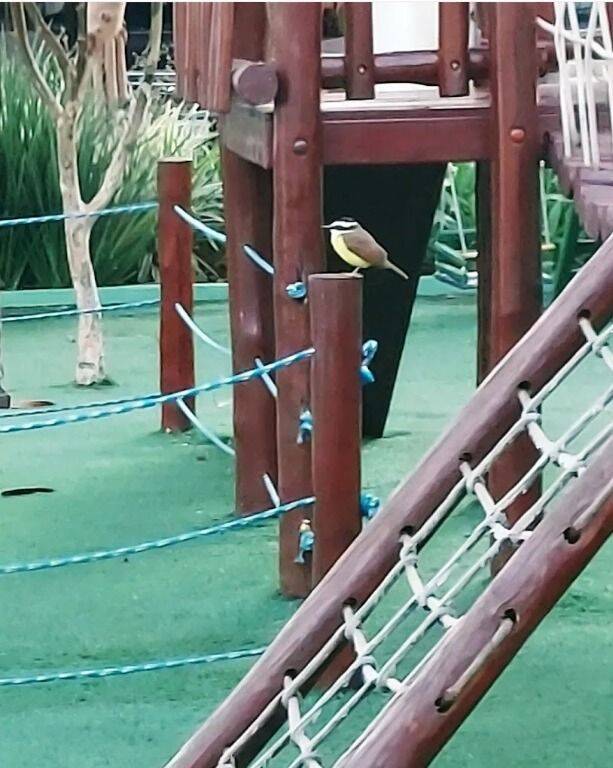 Casa de Condomínio, 2 quartos - Foto 31