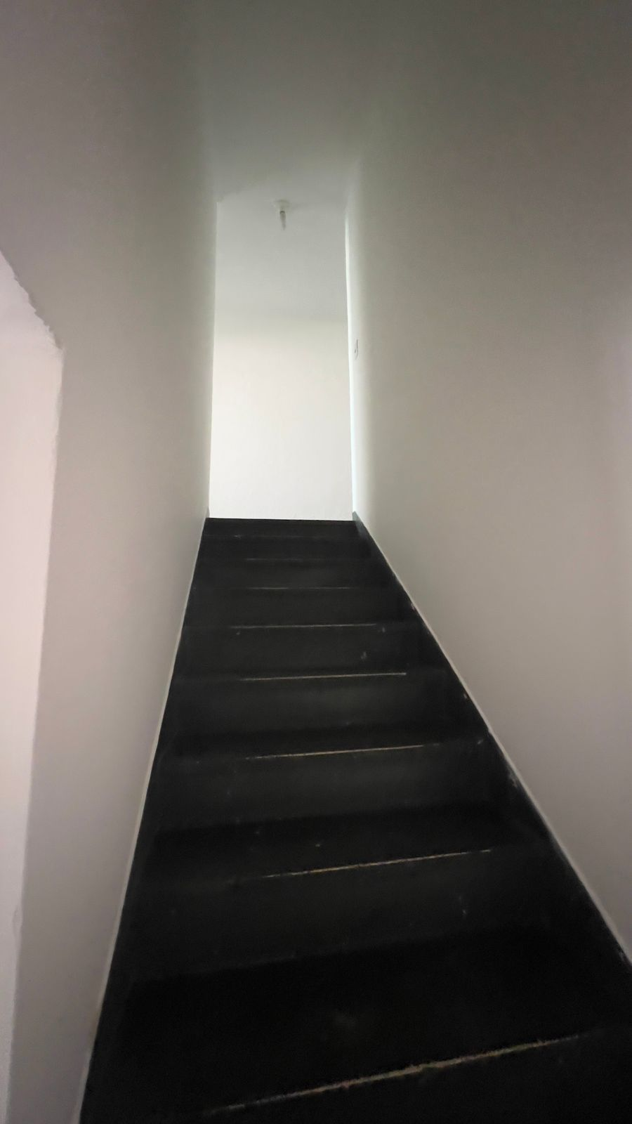 Casa, 4 quartos, 270 m² - Foto 39