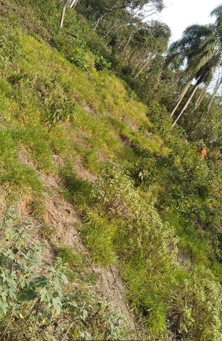 Terreno, 1125 m² - Foto 4