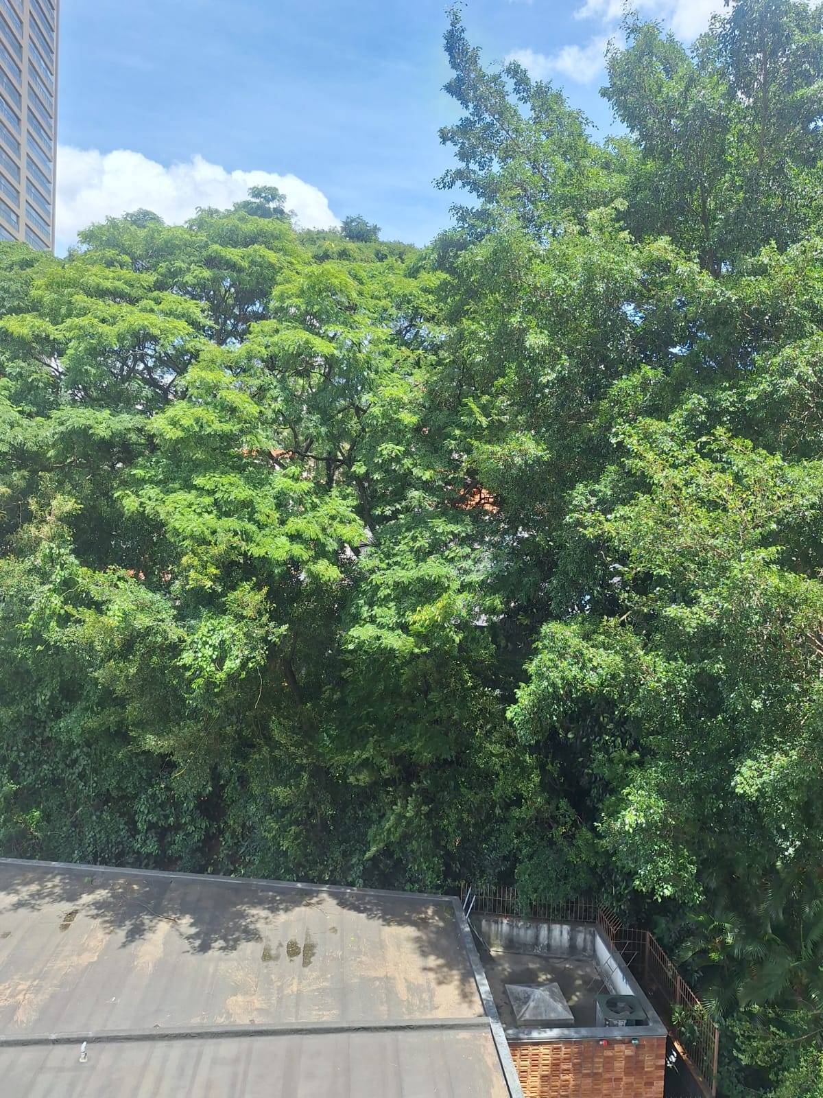 Apartamento, 3 quartos, 109 m² - Foto 21