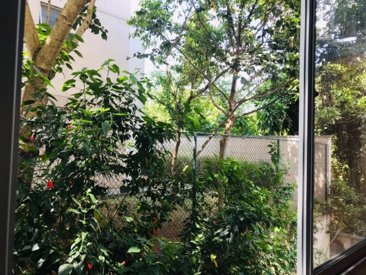 Apartamento, 2 quartos, 43 m² - Foto 16