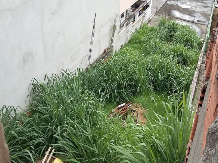 Terreno, 219 m² - Foto 2