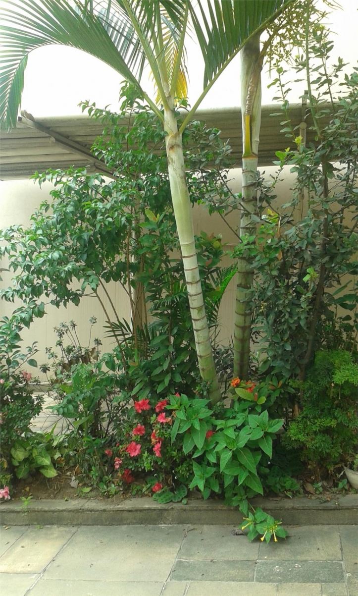 Sobrado, 4 quartos, 200 m² - Foto 43