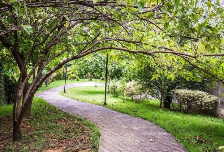 Apartamento, 2 quartos, 45 m² - Foto 15