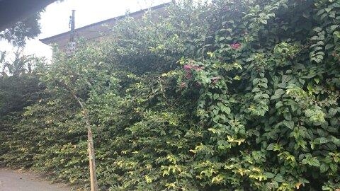 Casa, 3 quartos, 210 m² - Foto 2