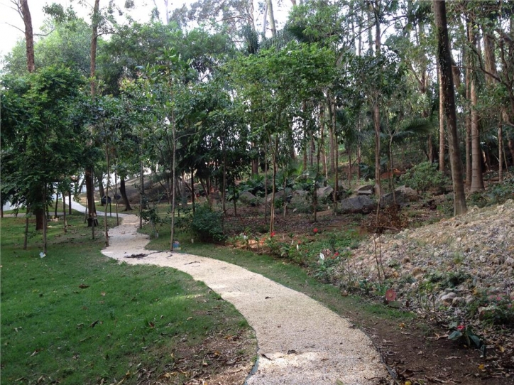 Apartamento, 3 quartos, 75 m² - Foto 5