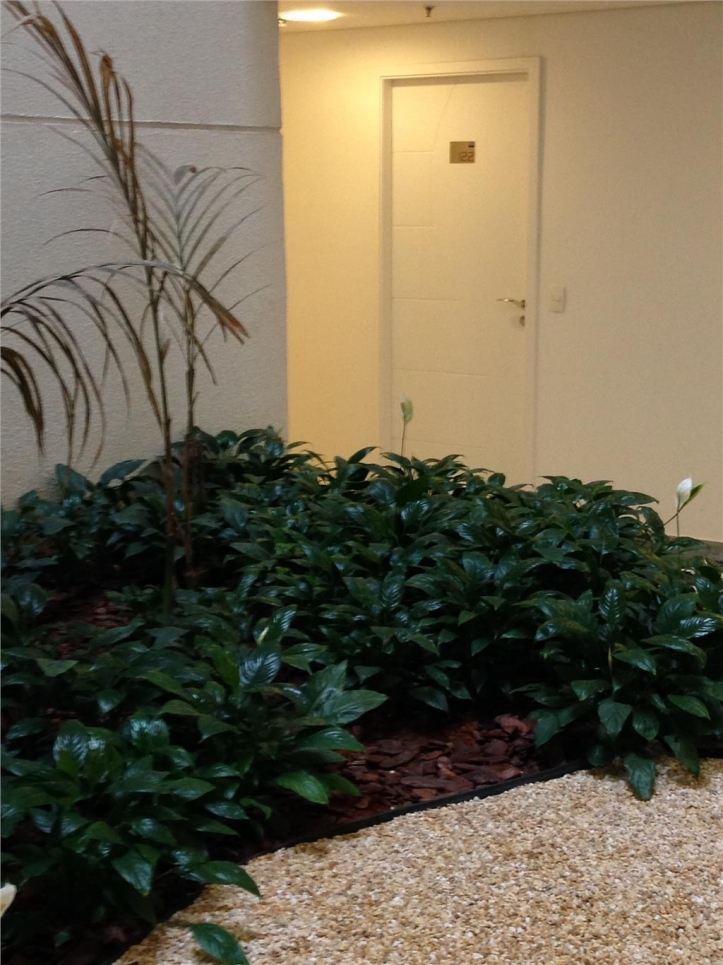 Sala-Conjunto, 38 m² - Foto 3