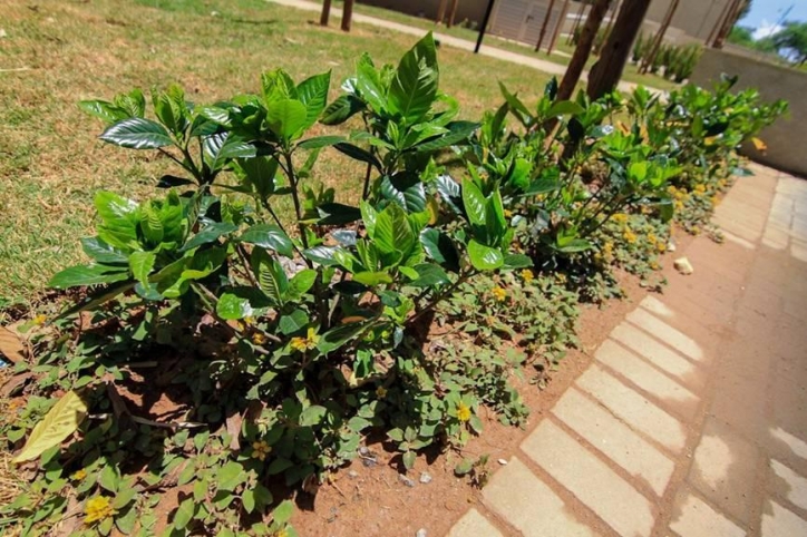 Apartamento, 2 quartos, 54 m² - Foto 7