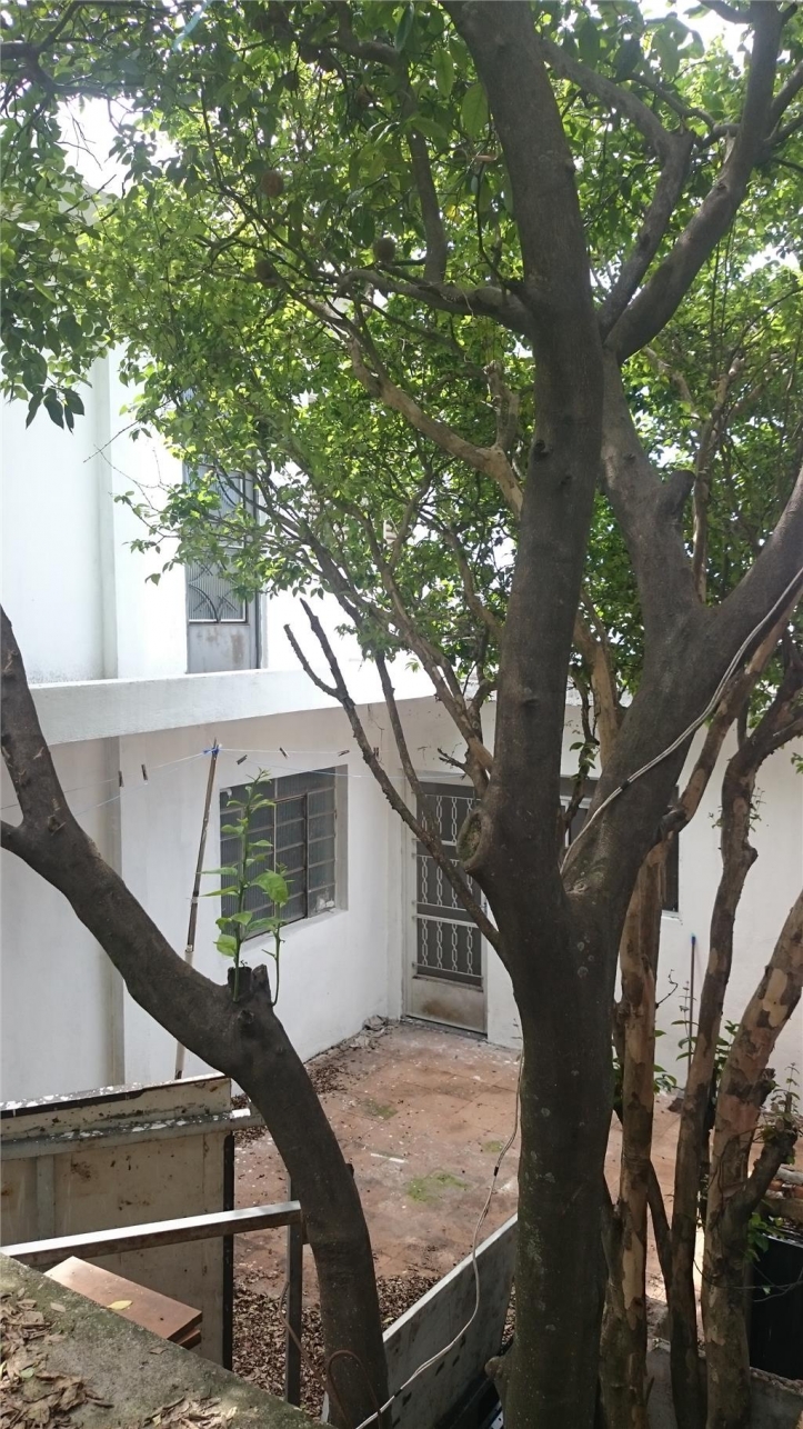 Sobrado, 2 quartos, 100 m² - Foto 12