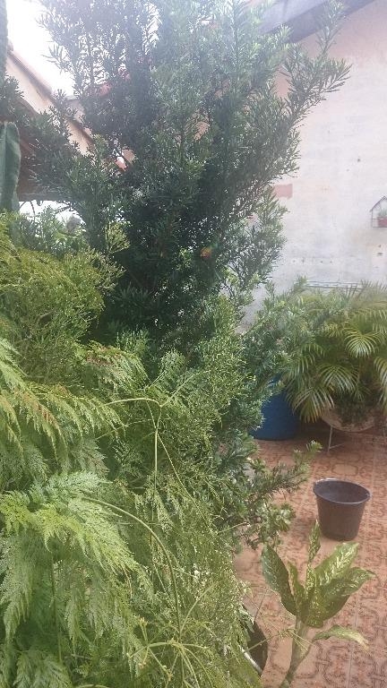 Casa, 5 quartos, 265 m² - Foto 22