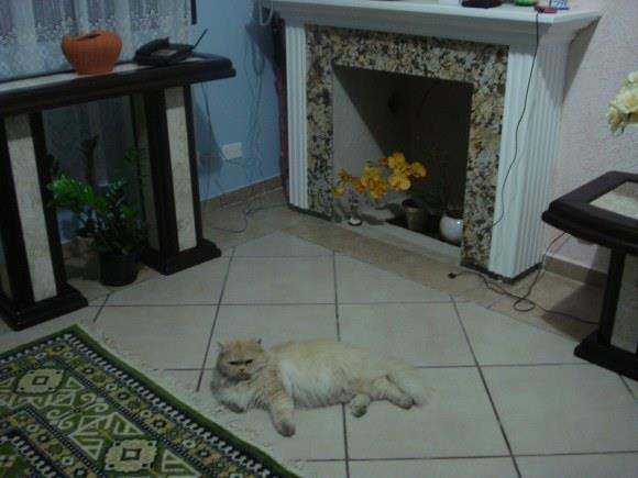 Sobrado, 3 quartos, 160 m² - Foto 2