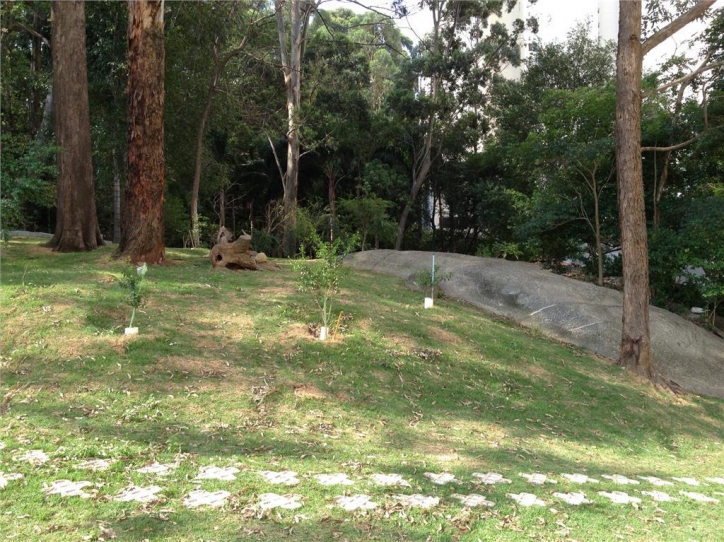 Apartamento, 3 quartos, 74 m² - Foto 2