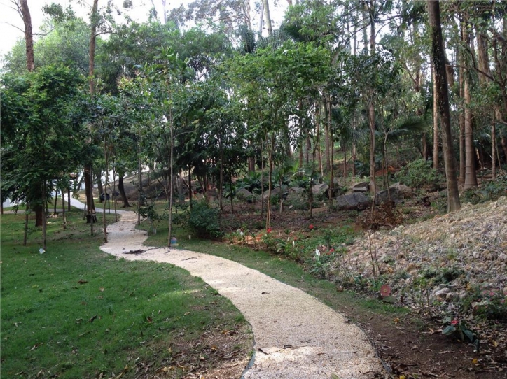 Apartamento, 3 quartos, 74 m² - Foto 11