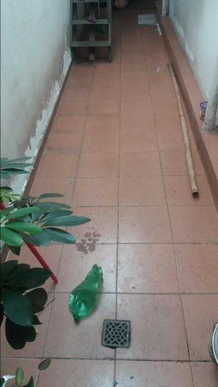 Casa, 2 quartos, 250 m² - Foto 21