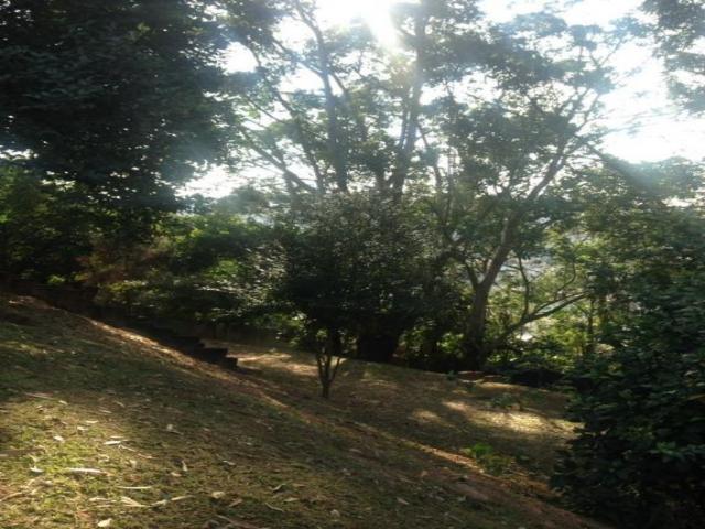 #AP1037 - Apartamento para Venda em São Paulo - SP - 3