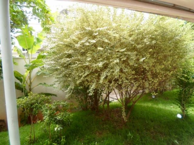 #AP1099 - Apartamento para Venda em São Paulo - SP - 3