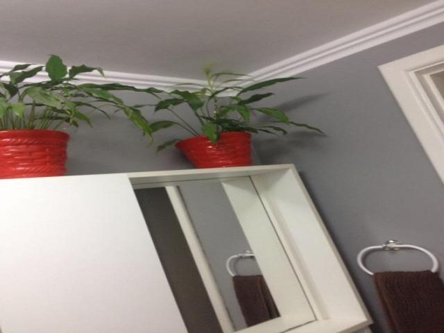 #AP1267 - Apartamento para Venda em São Paulo - SP - 2
