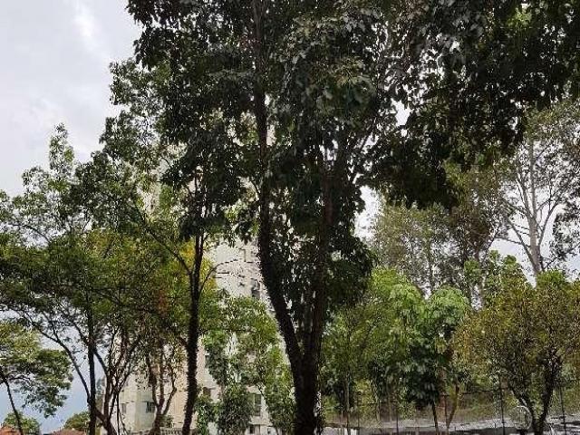 Apartamento para Venda em São Paulo - 3