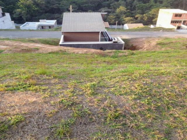 #TE0016 - Terreno para Venda em Franco da Rocha - SP - 3