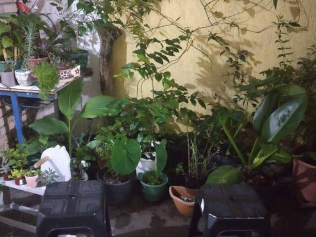 #62823464 - Sobrado para Venda em São Paulo - SP - 3