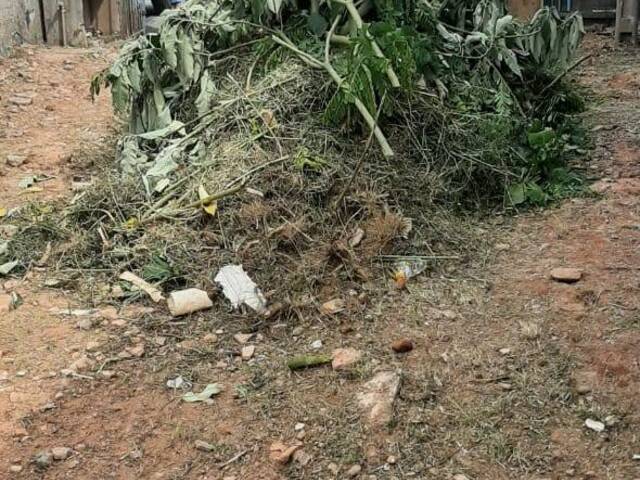 #62823575 - Terreno para Venda em São Paulo - SP - 3